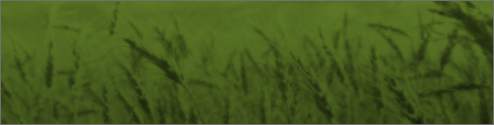 Ag Retail Career