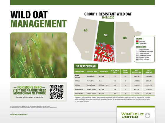 Wild Oat Management Information